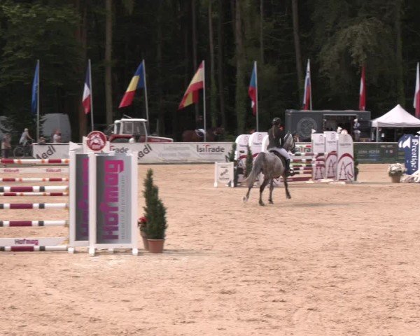 Reitturnier Ranshofen - Braunau am Inn 2024