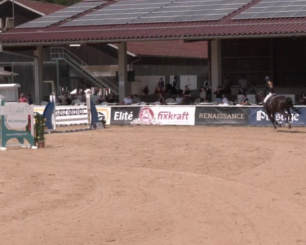 Reitturnier Ranshofen - Braunau am Inn 2024