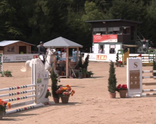 Reitturnier Ranshofen - Braunau am Inn 2024