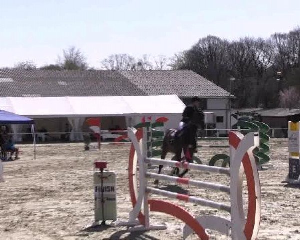 Dressur- und Springturnier Eröffnung der grünen Saison 2013