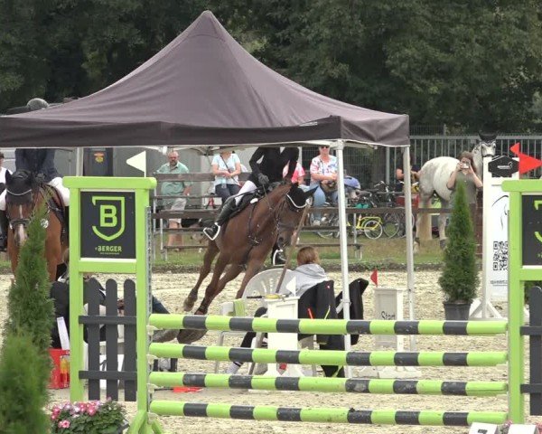 Reitturnier Nettetal-Lobberich 2024
