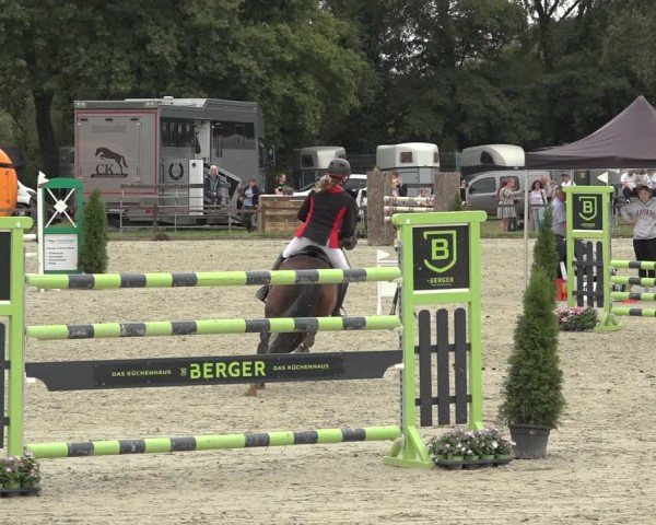 Reitturnier Nettetal-Lobberich 2024