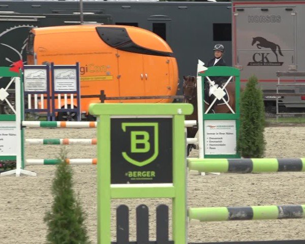 Reitturnier Nettetal-Lobberich 2024