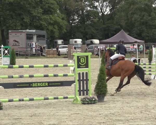 Reitturnier Nettetal-Lobberich 2024