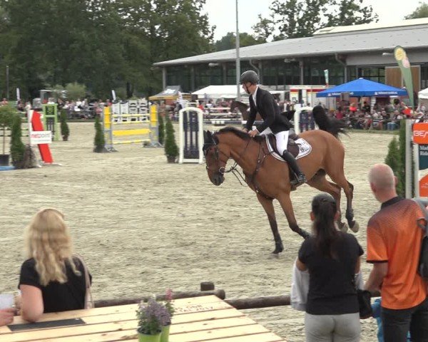 Reitturnier Nettetal-Lobberich 2024