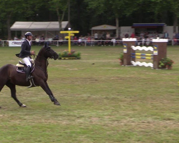 Reitturnier Zobbenitz 2024