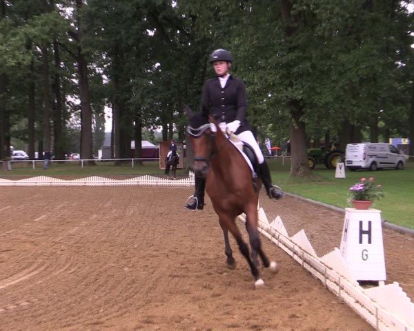 Reitturnier Zobbenitz 2024