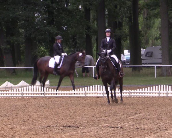 Reitturnier Zobbenitz 2024