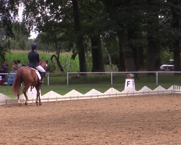 Reitturnier Zobbenitz 2024