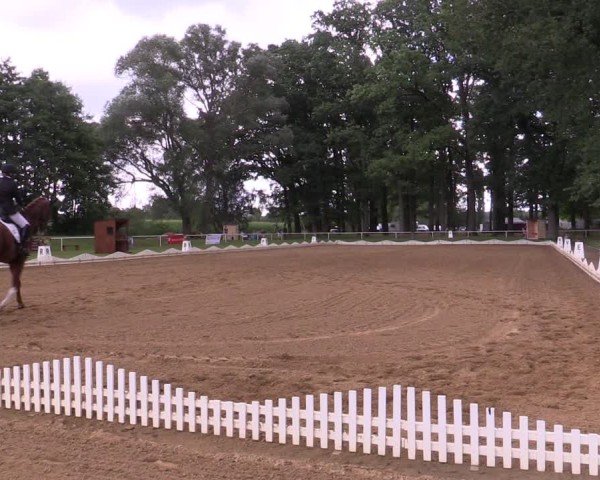 Reitturnier Zobbenitz 2024