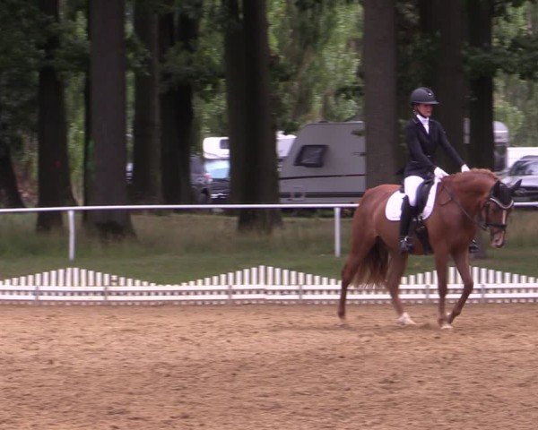 Reitturnier Zobbenitz 2024