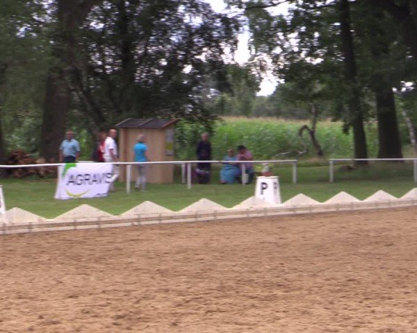 Reitturnier Zobbenitz 2024