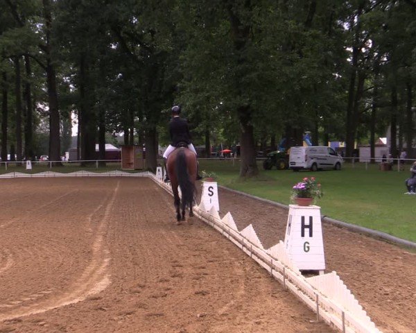 Reitturnier Zobbenitz 2024