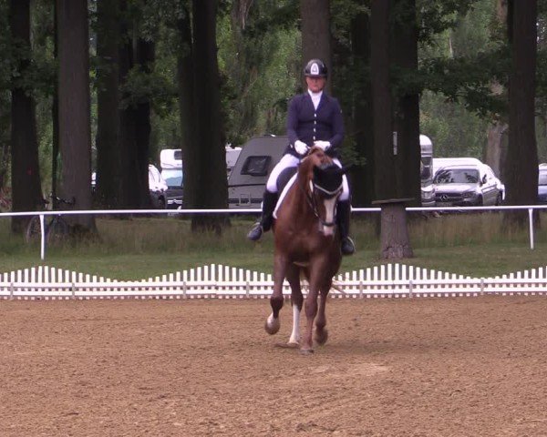 Reitturnier Zobbenitz 2024