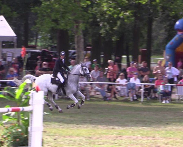 Reitturnier Zobbenitz 2024