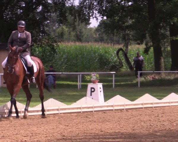 Reitturnier Zobbenitz 2024