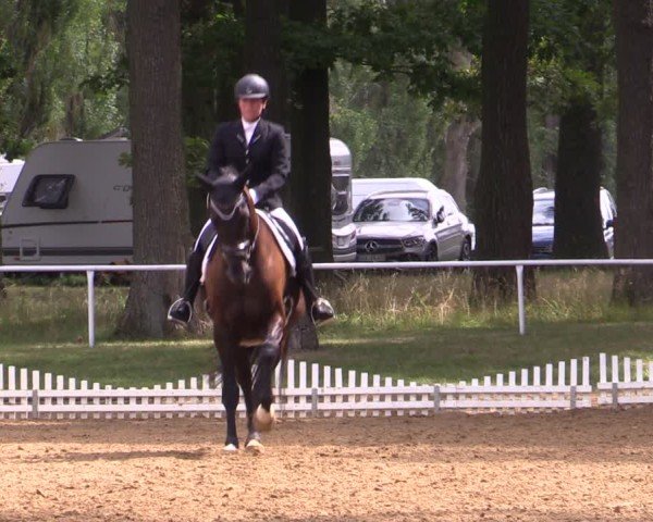 Reitturnier Zobbenitz 2024