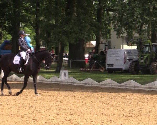 Reitturnier Zobbenitz 2024