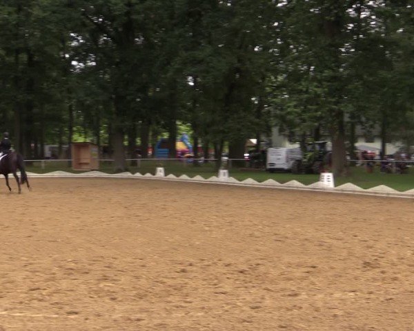 Reitturnier Zobbenitz 2024