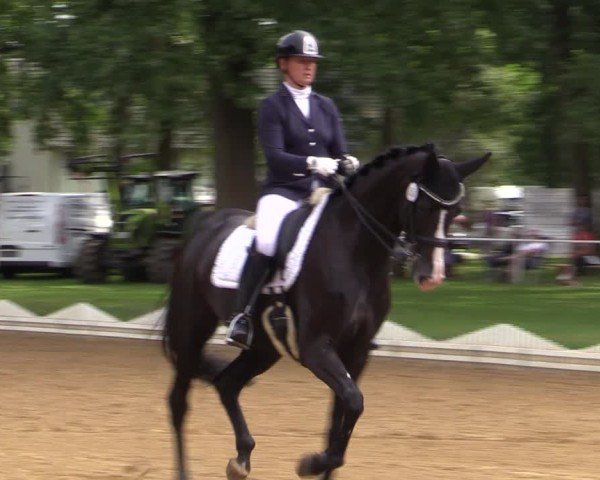 Reitturnier Zobbenitz 2024