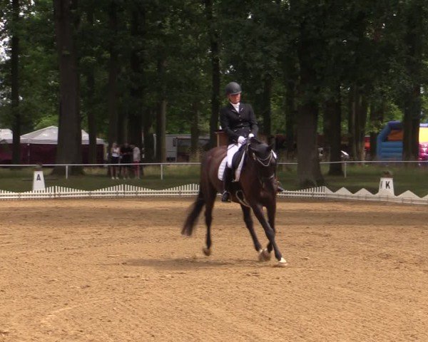 Reitturnier Zobbenitz 2024