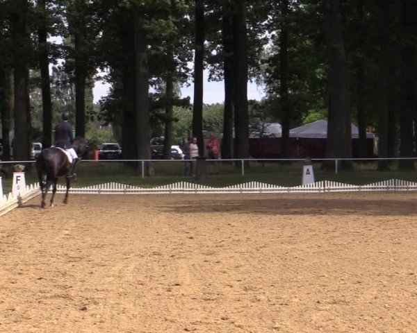 Reitturnier Zobbenitz 2024