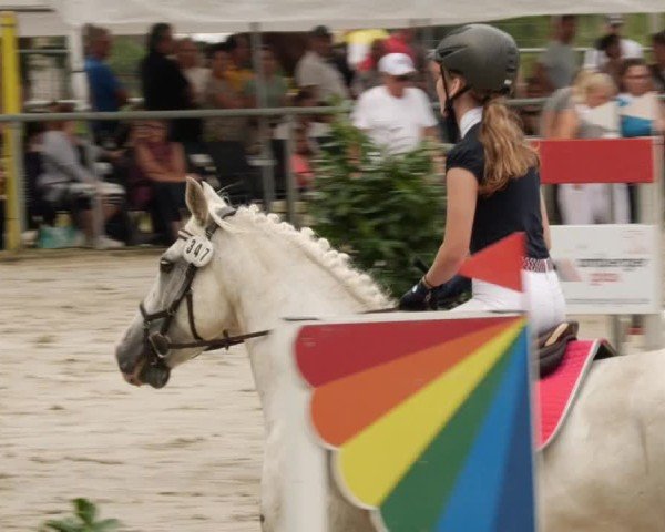 Reitturnier Mannheim-Friedrichsfeld 2024