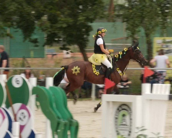 Reitturnier Mannheim-Friedrichsfeld 2024