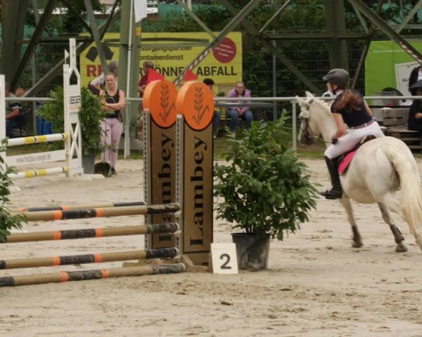 Reitturnier Mannheim-Friedrichsfeld 2024