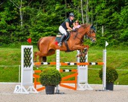 jumper Fariaimp (Oldenburg, 2016, from F One Usa)
