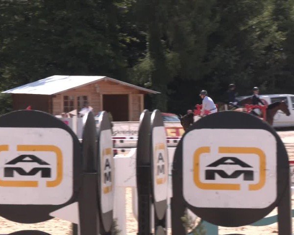 Reitturnier Ranshofen - Braunau am Inn 2024