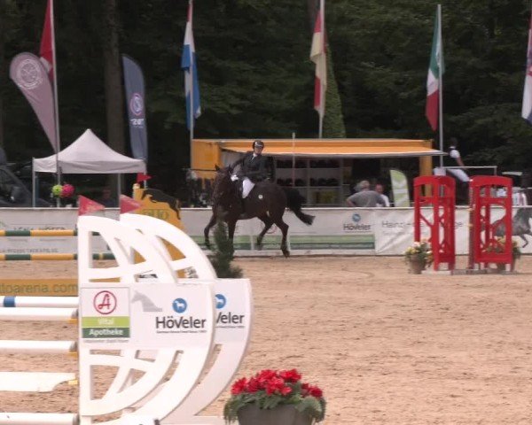Reitturnier Ranshofen - Braunau am Inn 2024