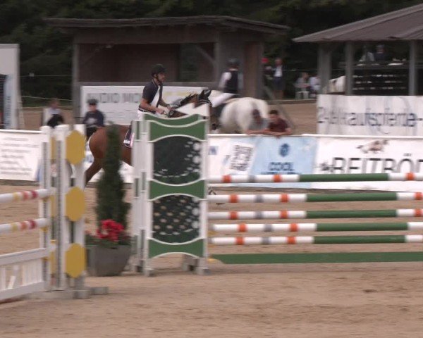 Reitturnier Ranshofen - Braunau am Inn 2024