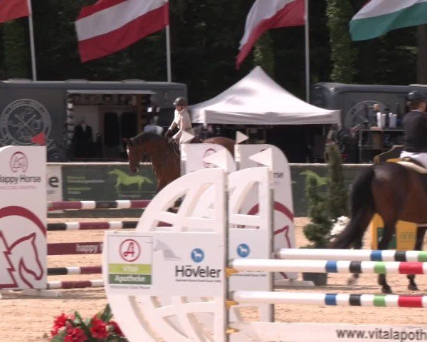 Reitturnier Ranshofen - Braunau am Inn 2024