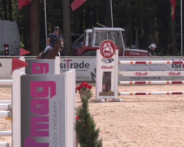 Reitturnier Ranshofen - Braunau am Inn 2024