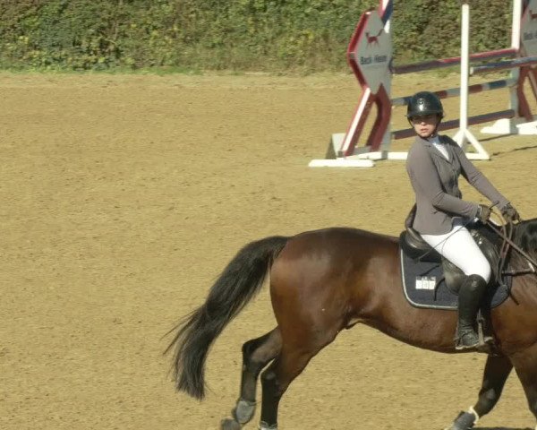 Reitturnier Böblingen 2021