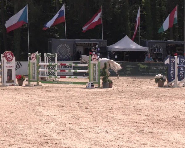 Reitturnier Ranshofen - Braunau am Inn 2024
