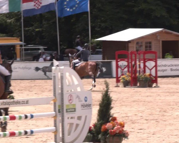 Reitturnier Ranshofen - Braunau am Inn 2024