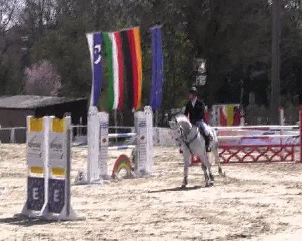 Dressur- und Springturnier Eröffnung der grünen Saison 2013