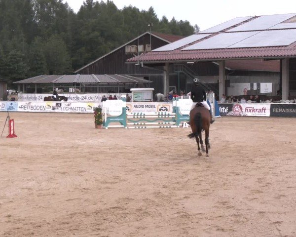 Reitturnier Ranshofen - Braunau am Inn 2024