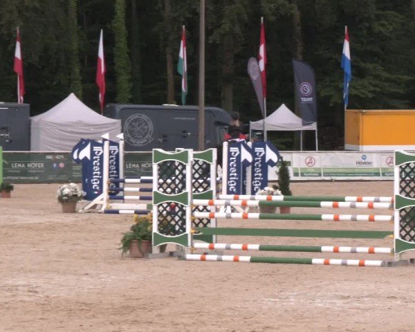 Reitturnier Ranshofen - Braunau am Inn 2024