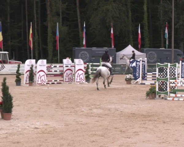 Reitturnier Ranshofen - Braunau am Inn 2024