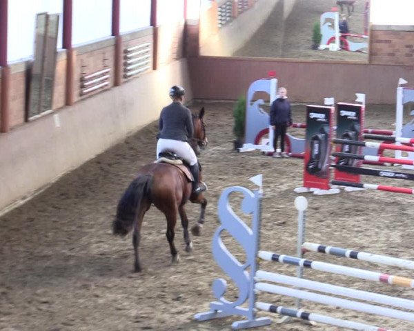 Reitturnier Herzebrock-Rheda 2021