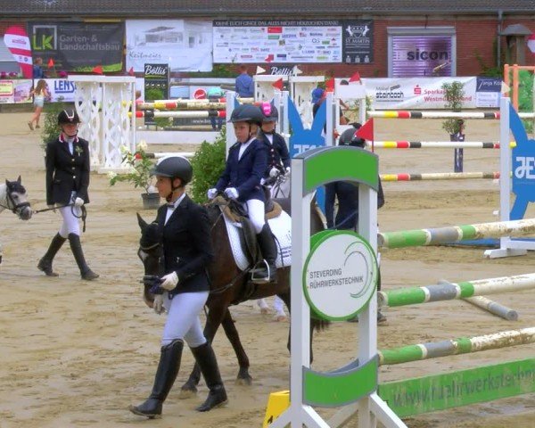 Reitturnier Stadtlohn 2024