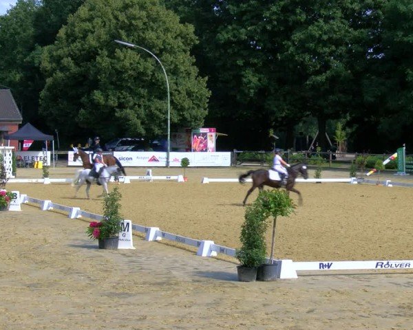 Reitturnier Stadtlohn 2024