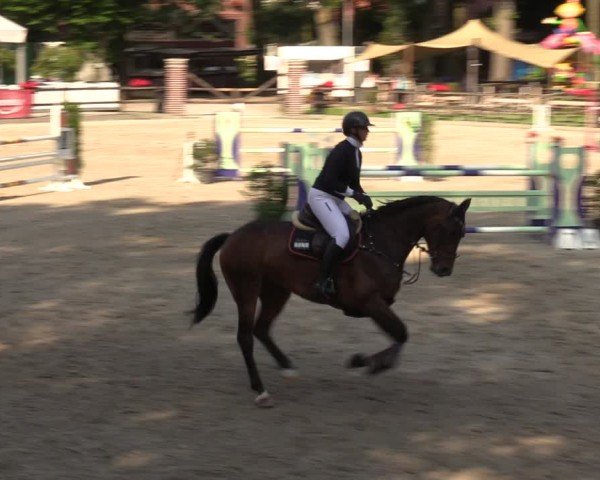 Reitturnier Klein Roscharden 2024