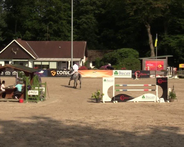 Reitturnier Klein Roscharden 2024
