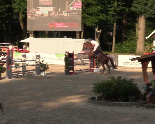 Reitturnier Klein Roscharden 2024