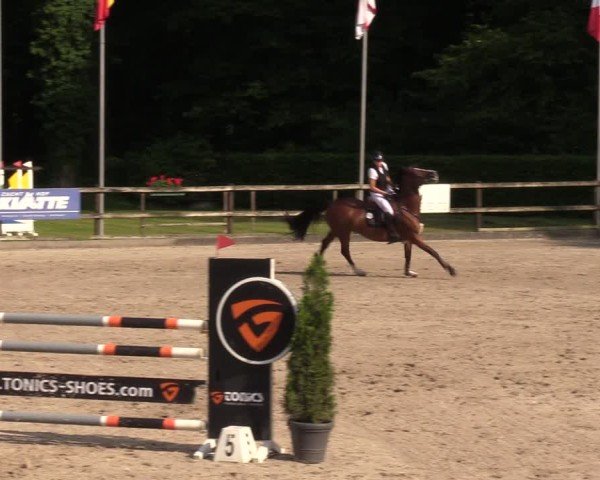 Reitturnier Klein Roscharden 2024