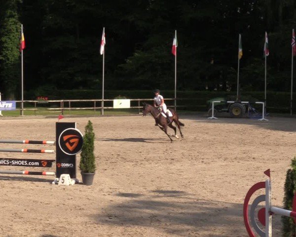 Reitturnier Klein Roscharden 2024